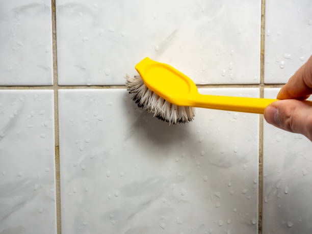 Best Office Mold Removal Services  in Bisbee, AZ