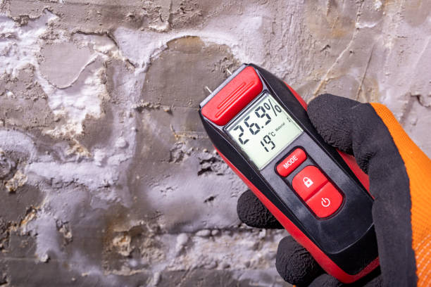 Best Water Damage Restoration  in Bisbee, AZ