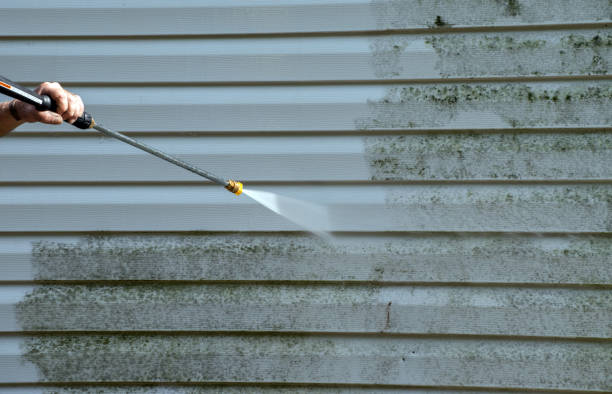 Best Commercial Mold Removal  in Bisbee, AZ