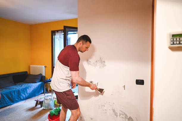 Best Mold Damage Repair  in Bisbee, AZ